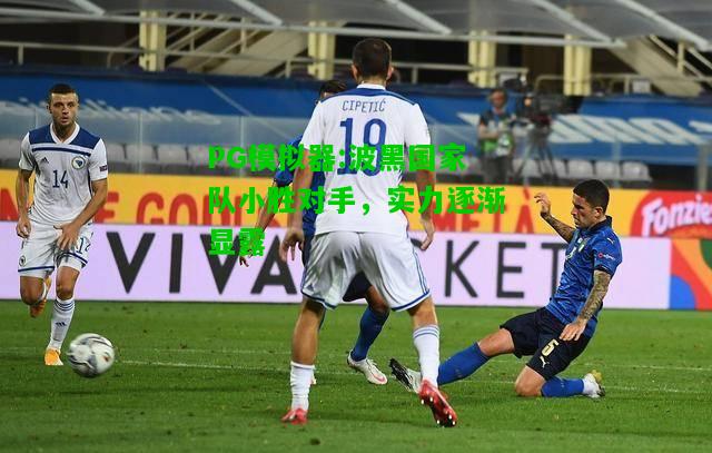 波黑国家队小胜对手，实力逐渐显露