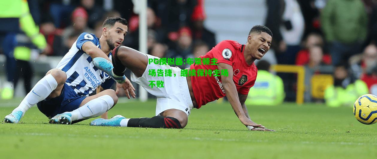 布莱顿主场告捷，继续保持主场不败
